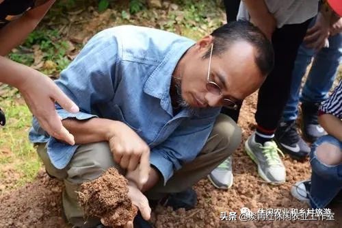 疫情过后哪些产业发展潜力大,疫情下的农村产业发展现状