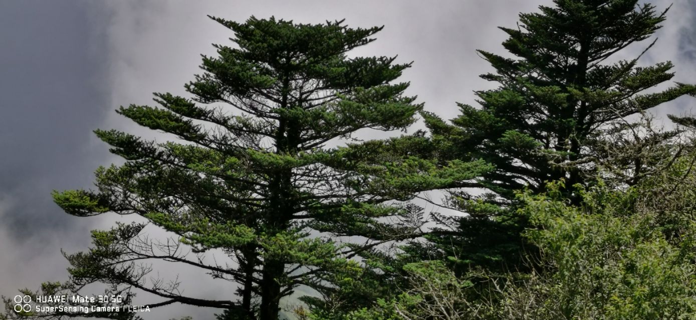 金阳之《天地精华》