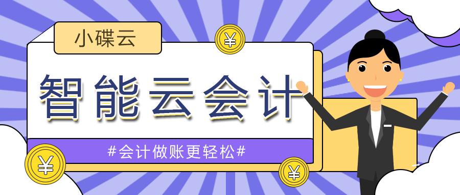 小公司没有会计财务怎么办,小公司没有软件怎么做账