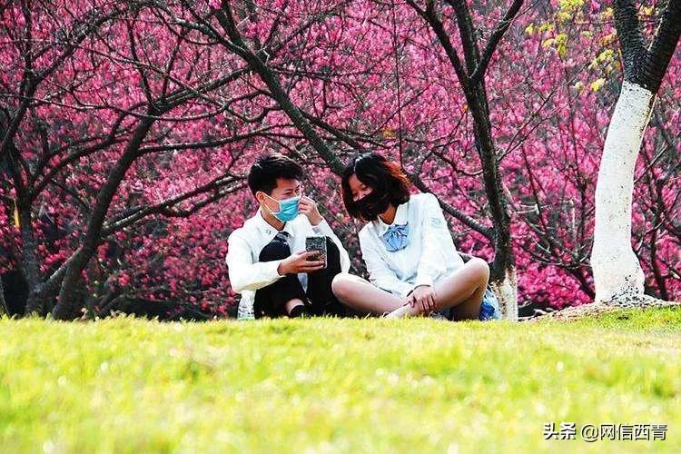 天津2022哪些公园恢复开放,天津临港亲海公园什么时候开放