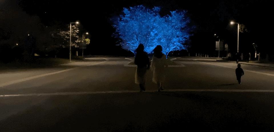 南京的小众景点非常适合一个人去,南京充满森林的公园