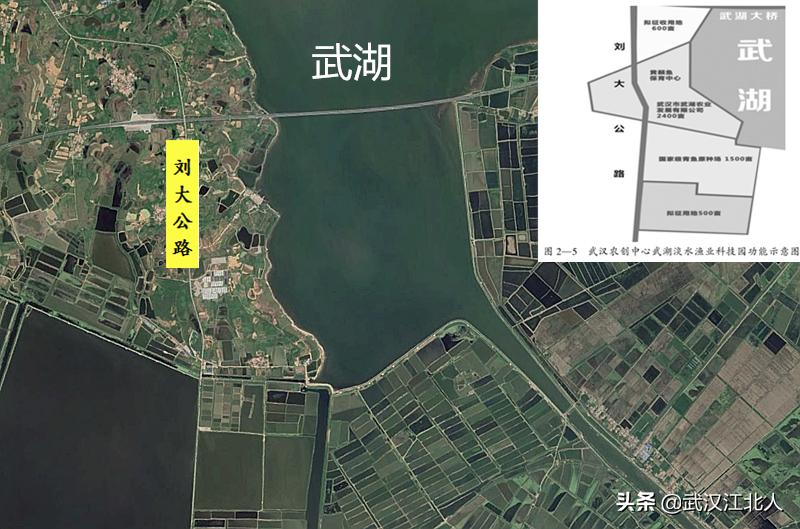 长江新区武湖的位置好吗,黄陂产业新城最新规划
