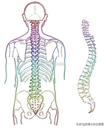 运动腰肌损伤怎么恢复,运动康复腰椎失稳