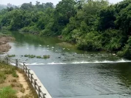 西塘中学怎么样,西塘镇西塘中学简介