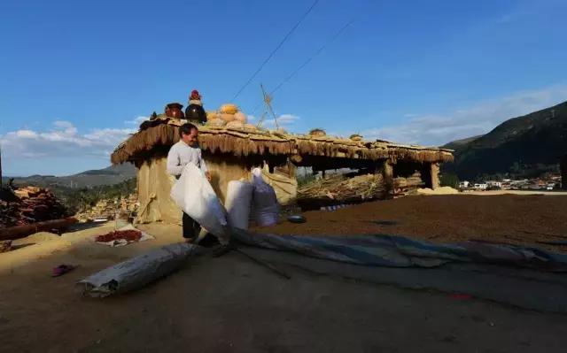 云南这个村子百家相连,一不留神就走到人家房顶上了