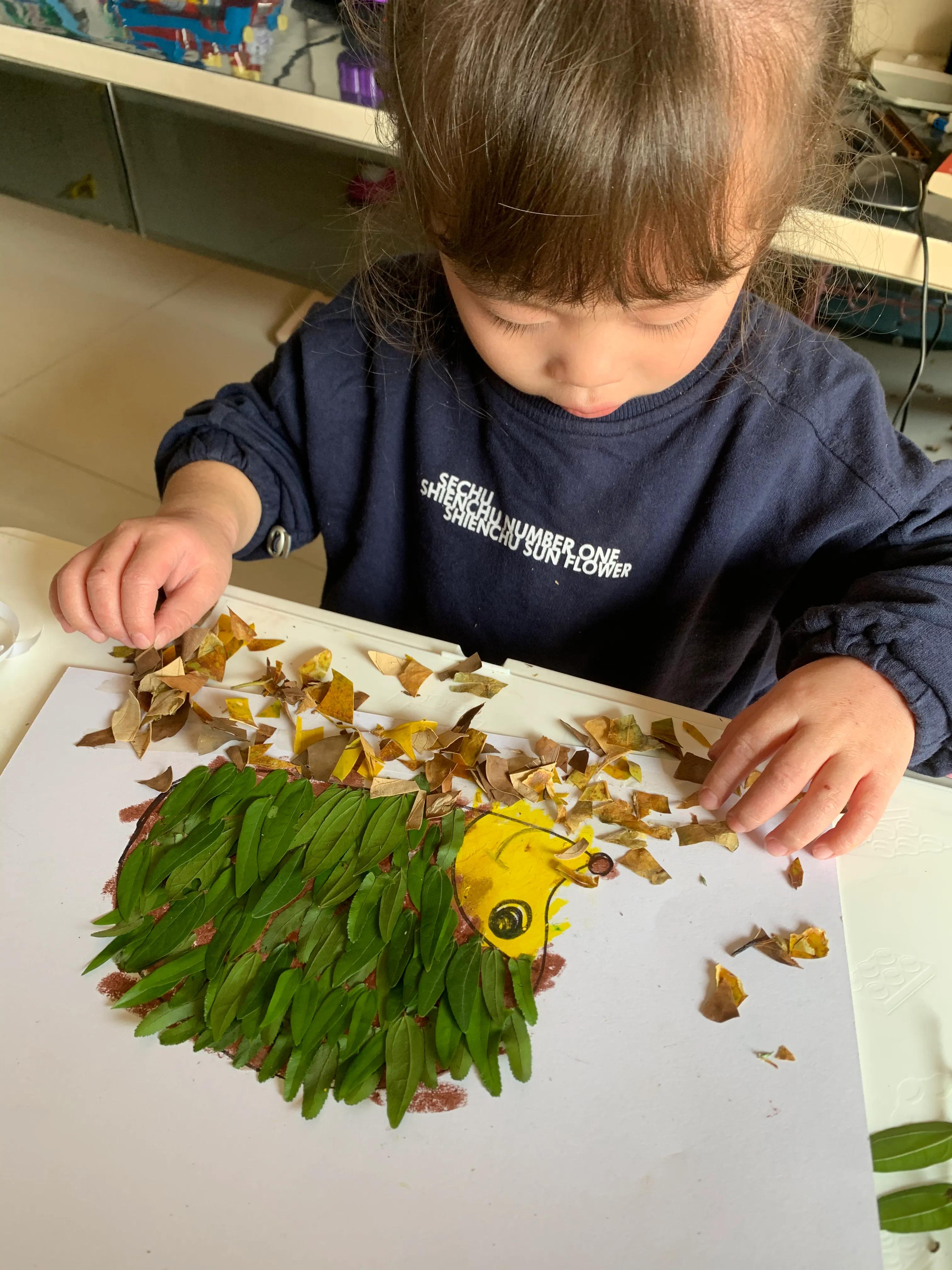 用树叶和花朵做一幅美丽的画,用银杏树叶做一幅简单漂亮的画