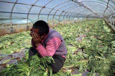 农业是不是下一个创业风口,农业创业的新模式