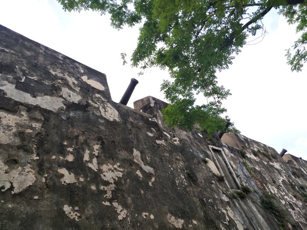 澳门一日休闲游,澳门带爸妈一日游