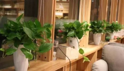 8招教您除去新家具甲醛异味,如何快速除家具异味