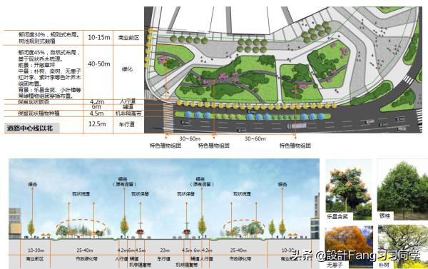 道路景观规划设计,生态道路景观