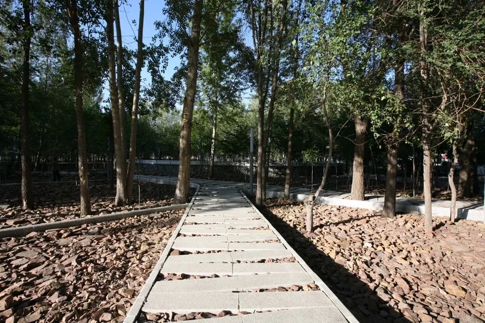 荒漠的城市,城市的喧嚣沙漠的宁静