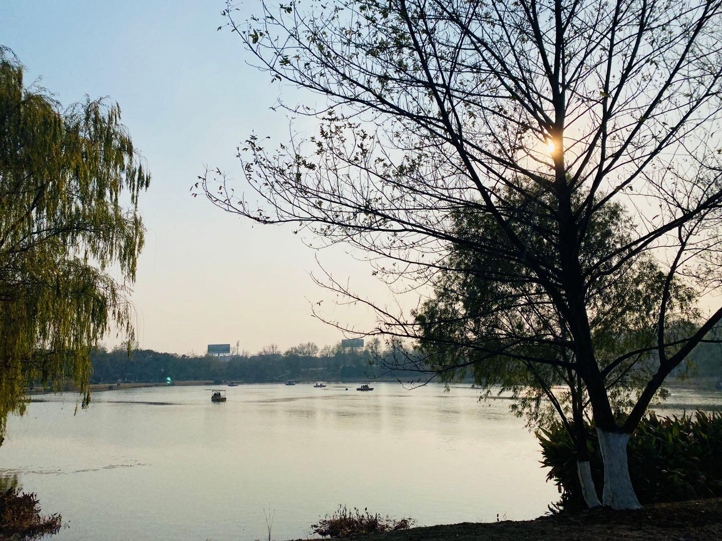 南京最适合夜晚的公园,南京周末户外打卡景点