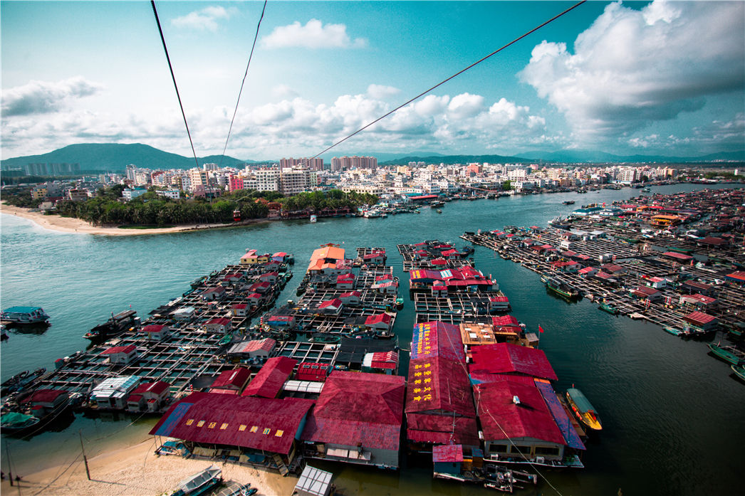海南必玩猴岛与呆呆丨看萌呆猕猴，呆呆岛发呆