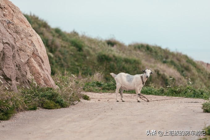 花鸟岛超详细旅游攻略,花鸟岛海岛旅行