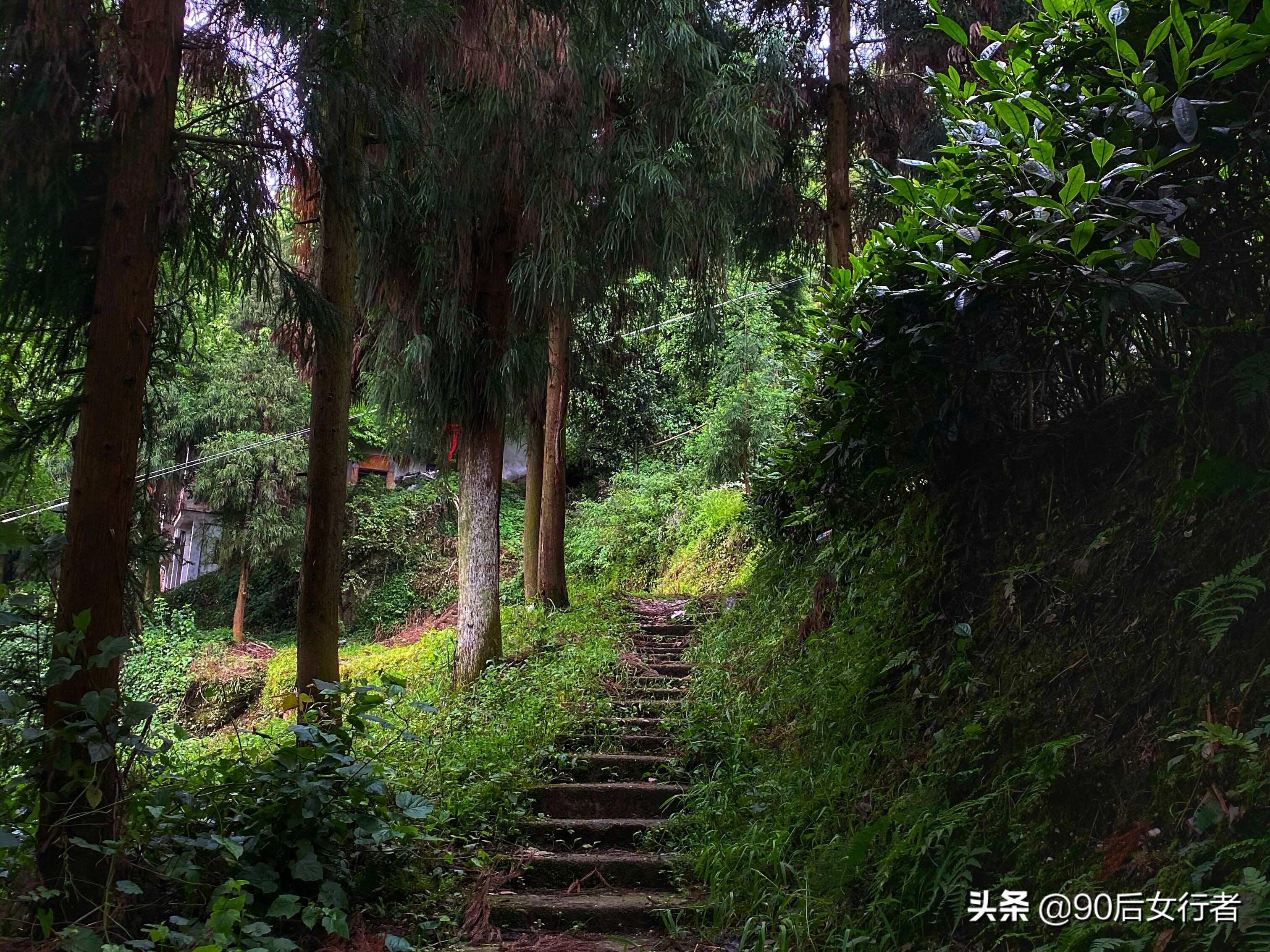 探寻青城山,探秘青城山神仙洞怎么走