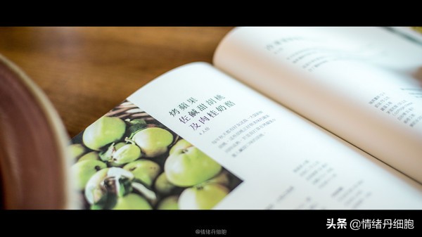 可以去玩一整天的地方,能玩一两天的地方