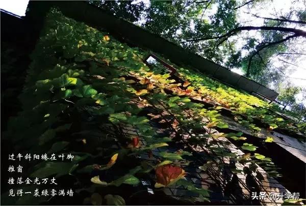 成都七中最著名校长,成都七中历任校长有哪些