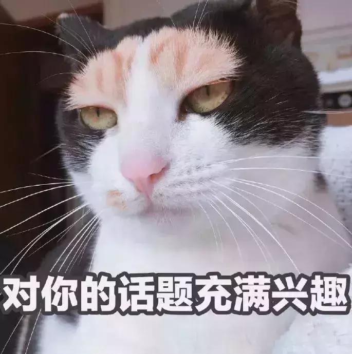 猫咪生病不吃东西只喝水怎么办,猫咪铲屎官的5种表现