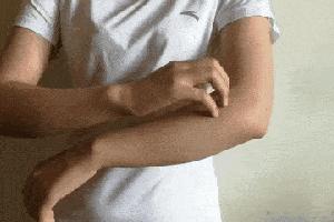 仙人掌和鸡蛋一起吃有什么功效,仙人掌果泡水喝有什么作用与功效