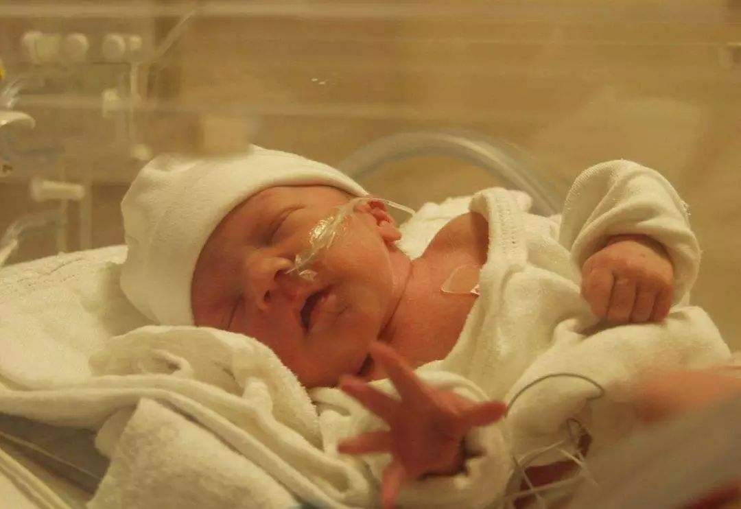 宝宝看手和脑瘫的区别,宝宝开始发育正常后面还会脑瘫吗