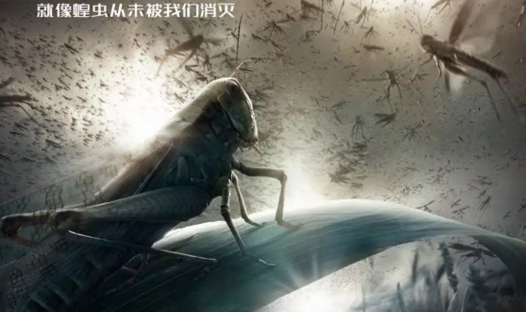 数学规律律动游戏,数学规律排序游戏