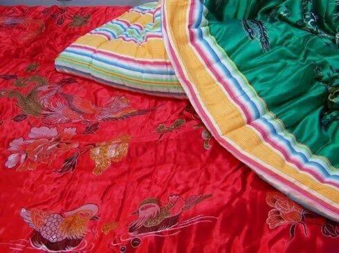 1994年狗,狗1994年