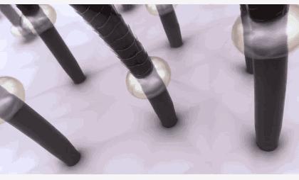 澳洲茶树精油洗发水去头屑,头发一摸全是油