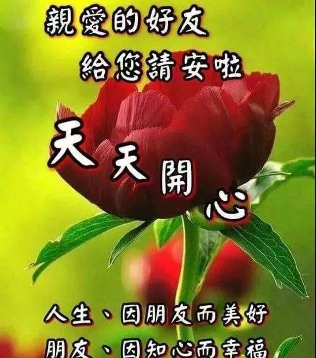 酒多会醉，话多浪费；情多心碎，爱多自毁，早安