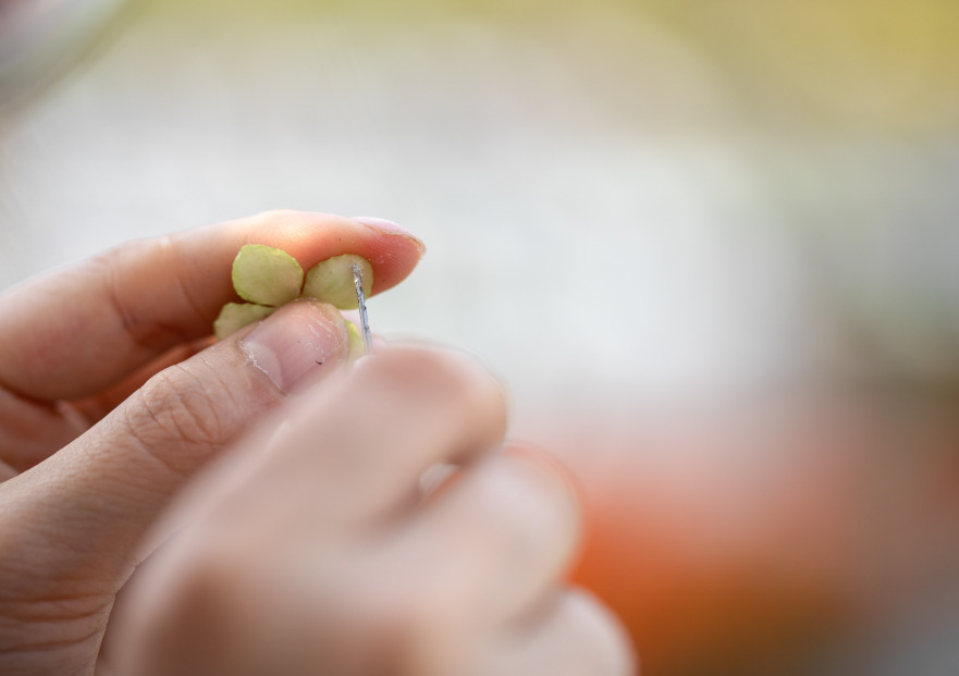 收藏春天的教程,怎么收藏春天