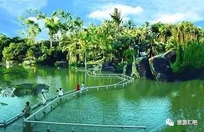 大象岛旅游攻略,大象鹭岛攻略