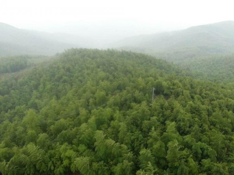 西安到湖南张家界最佳自驾游线路,春节三门峡到湖南自驾游路线推荐