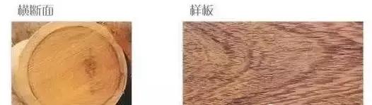 揭秘奥尔良烤鸡,鸡翅木来历