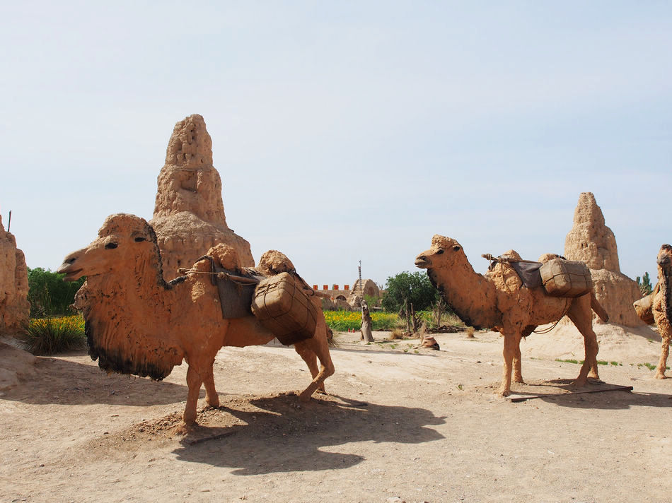 跟着星爷和老谋子的电影,去逛这座大名鼎鼎的西北影视城堡