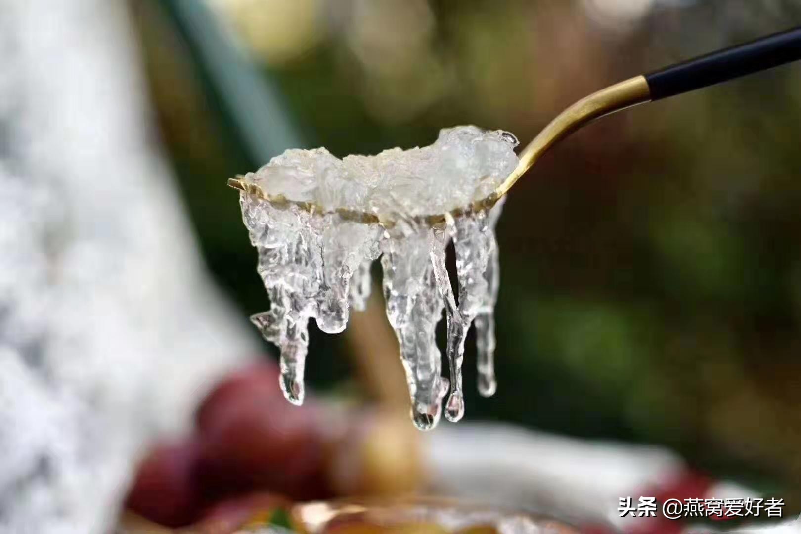 燕窝多少钱一盒的图片,燕窝很贵么价格一般在多少呢