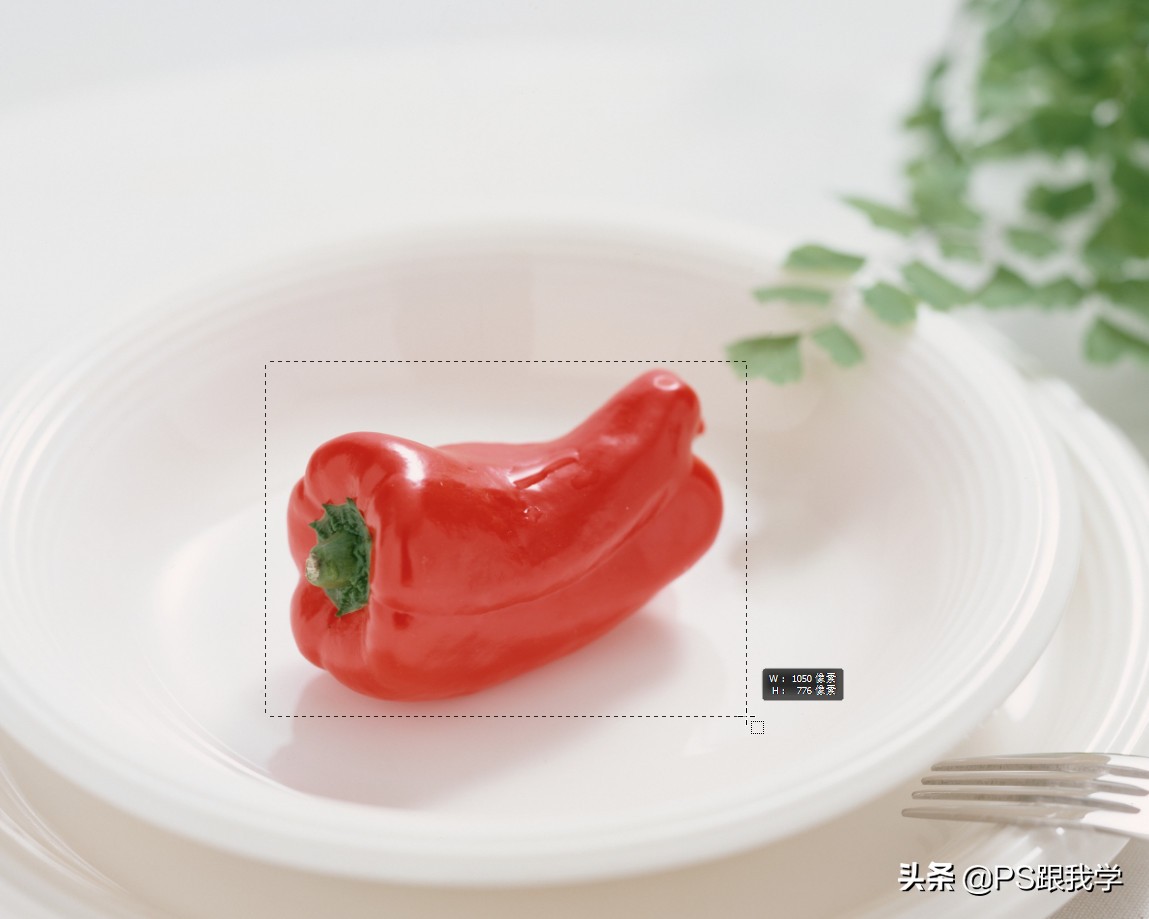 ps2018新功能一键抠图方法,ps2017一键抠图是怎样操作的