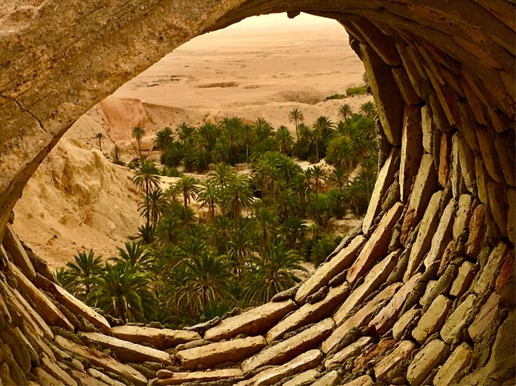 突尼斯市是世界文化之都吗,突尼斯的千年古城