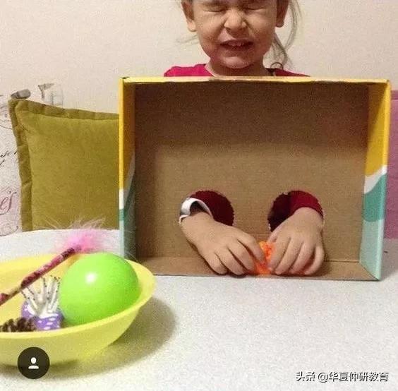 亲子互动篮球创意游戏100个,创意亲子互动游戏