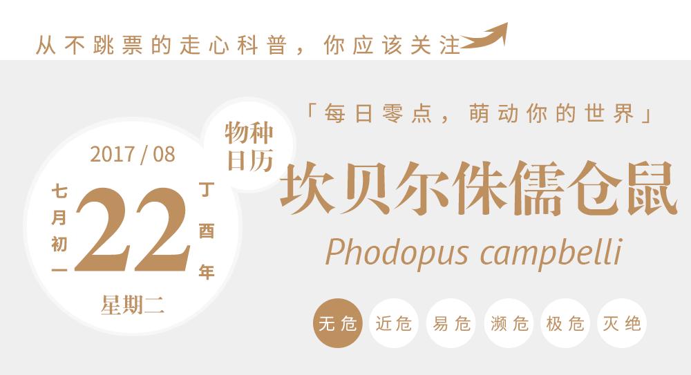 养仓鼠怎么给仓鼠洗澡,仓鼠浴室里仓鼠是怎么洗澡的