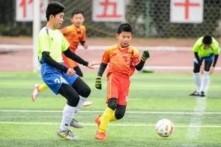 值得收藏的运动器材,运动场地免费开放