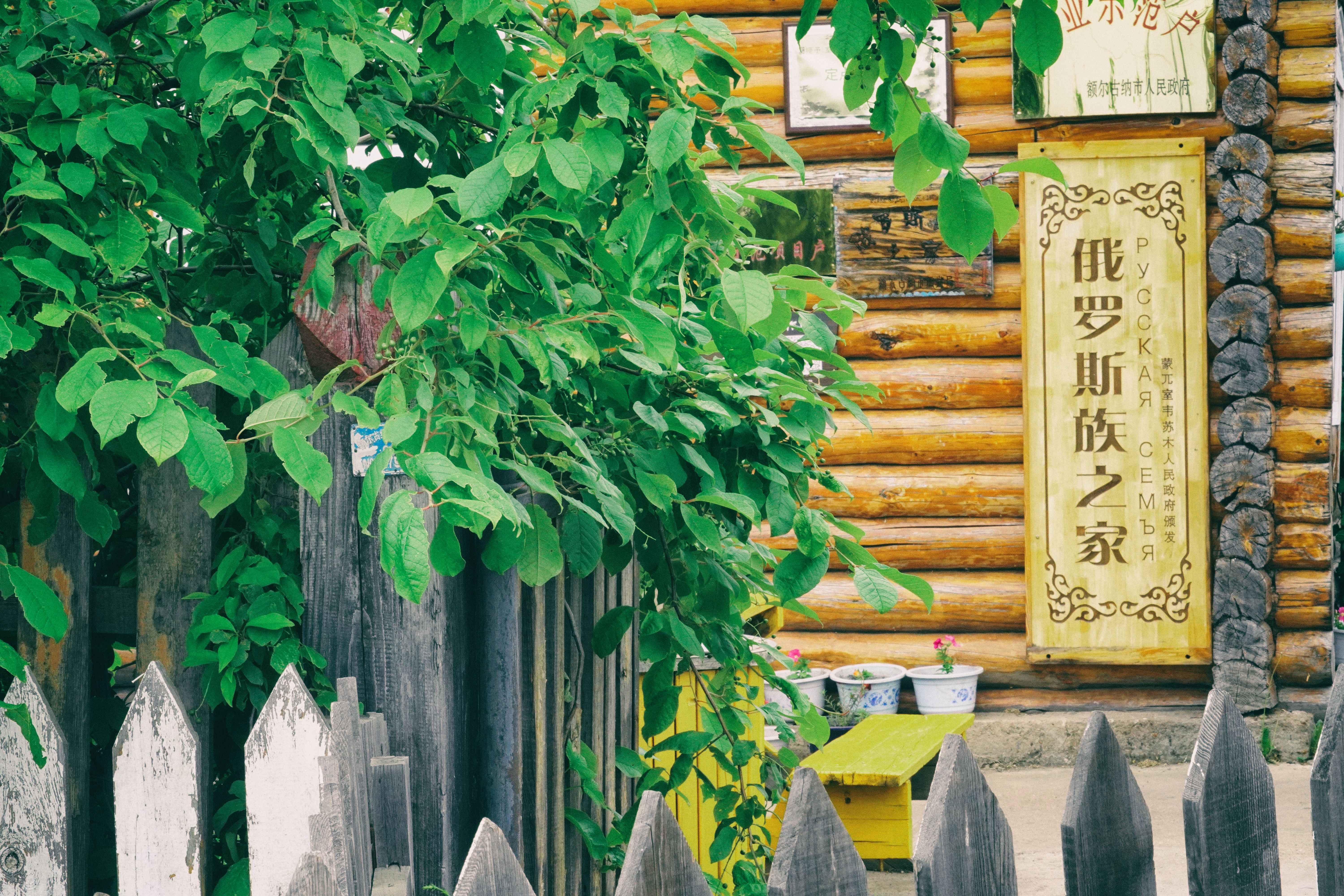 东北边疆,东北行游记2019