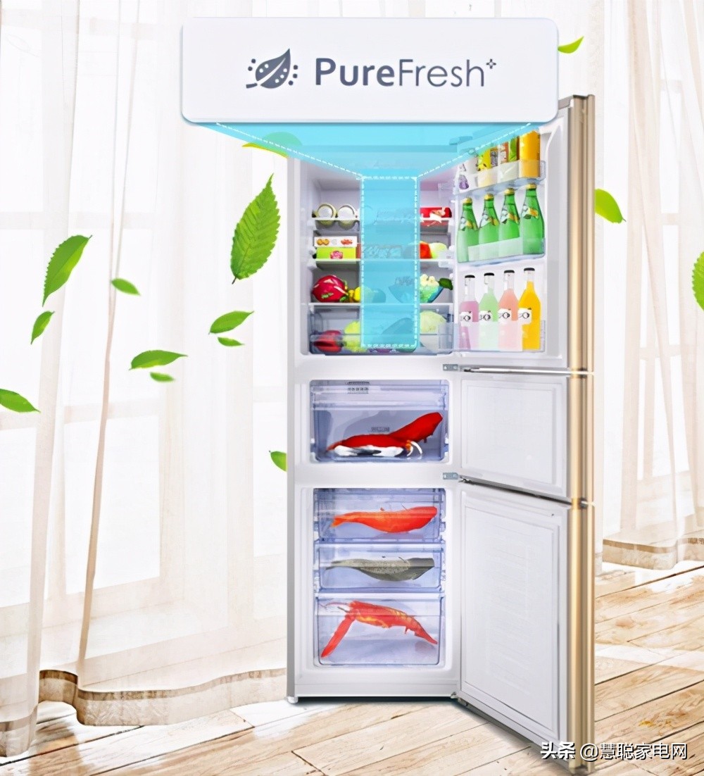 冰箱静音最少达到多少分贝,海信冰箱503四门节能