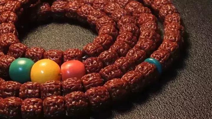 金刚菩提子手串知识大全,讲解金刚菩提的书籍