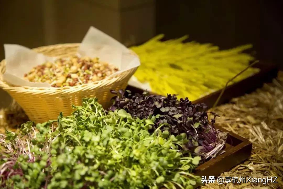 柏悦纯素之宴，回归“園·味”，一场原醇味蕾之旅