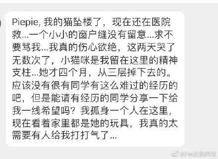 猫跳楼摔不死,猫咪跳楼真的摔不死吗