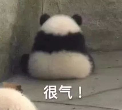 毕业季租房难题解读,毕业季租房防坑指南