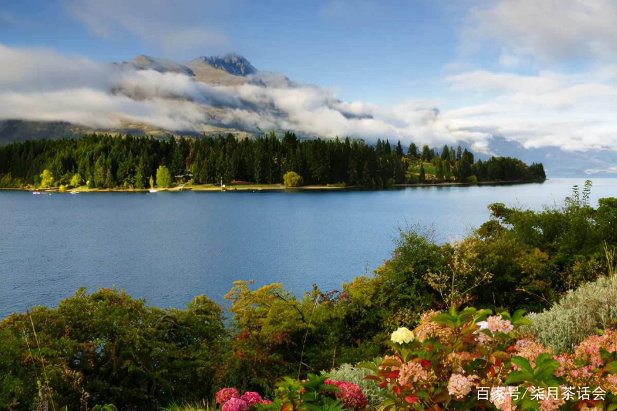 新西兰为什么成为世界上最好国家,为什么新西兰是世界最安全的国家