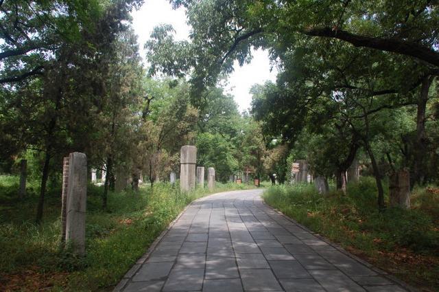 孔林是最大的氏族墓地吗,孔林最大墓葬群