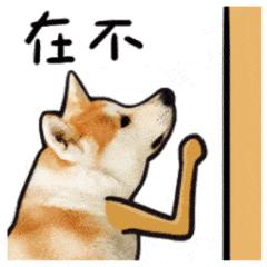 移动语音留言怎么设置,中国移动和留言语音信箱是什么