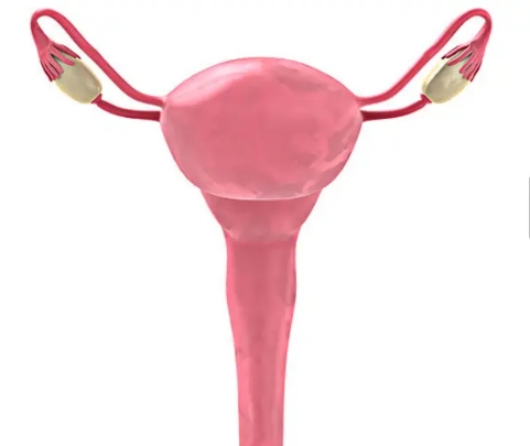 子宫不全切,子宫可以不切吗