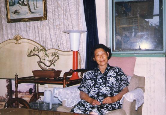 五大道的名人轶事,五大道后裔名人